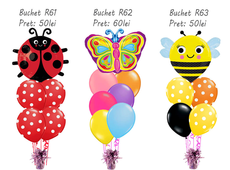 Baloane cu heliu R61 R62 R63