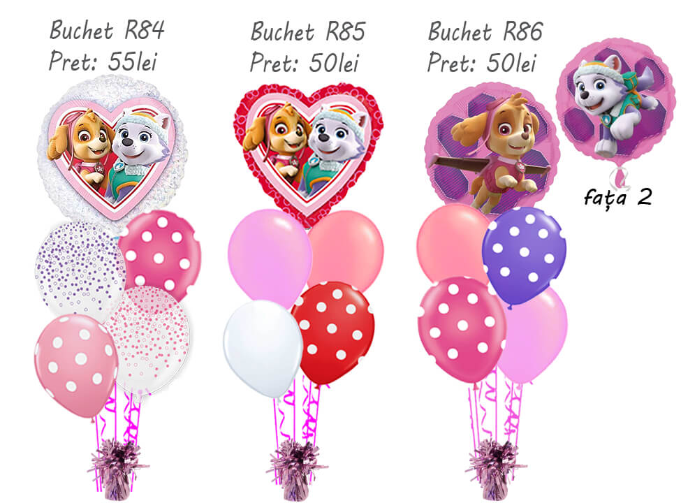 Baloane cu heliu R84 R85 R86